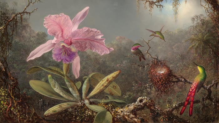 Cattleya Orchid and Three Hummingbirds