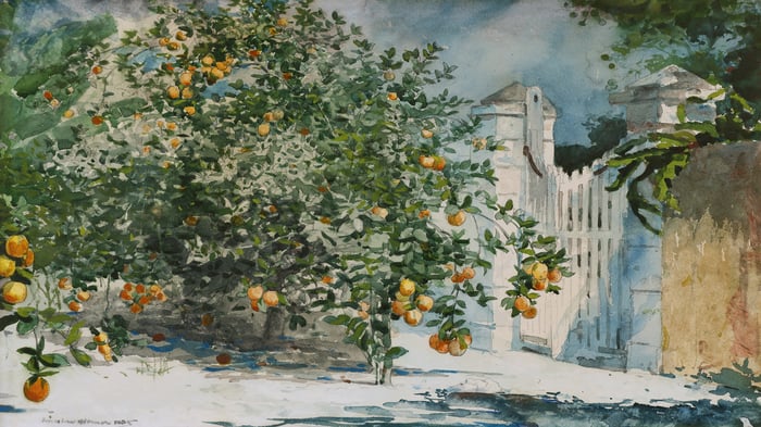 Orange trees and gate