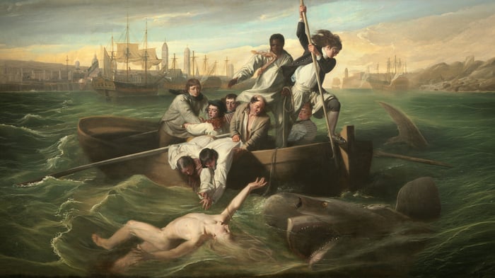 Watson and the Shark