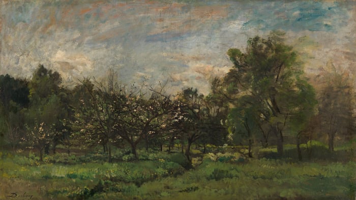 Orchard
