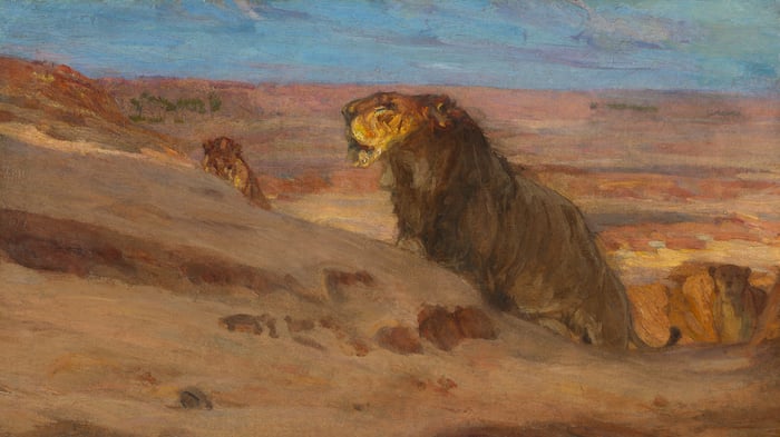 Lions in the Desert