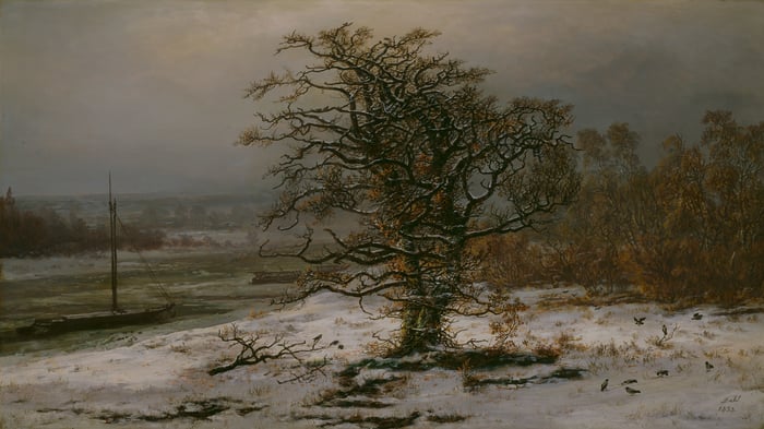 Oak Tree by the Elbe in Winter