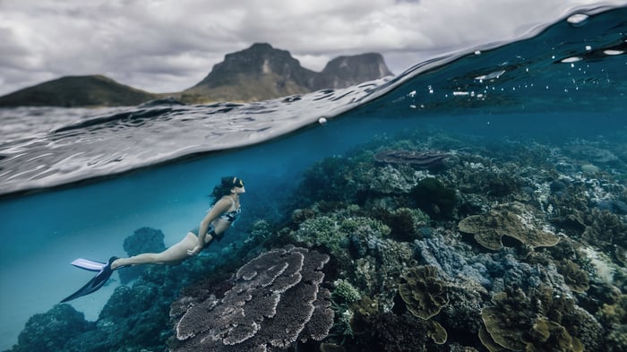 Melissa Findley   Diver at Lord Howe Island, Australia   reframed