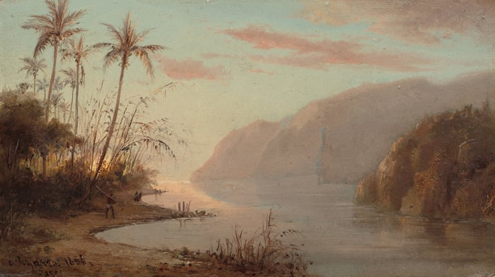 Crique avec palmiers