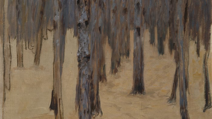 Coniferous forest in the snow (section)