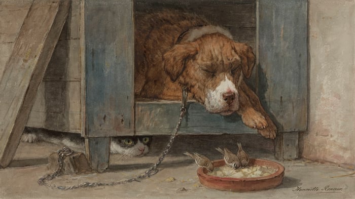 Cat spies on birds near a sleeping dog