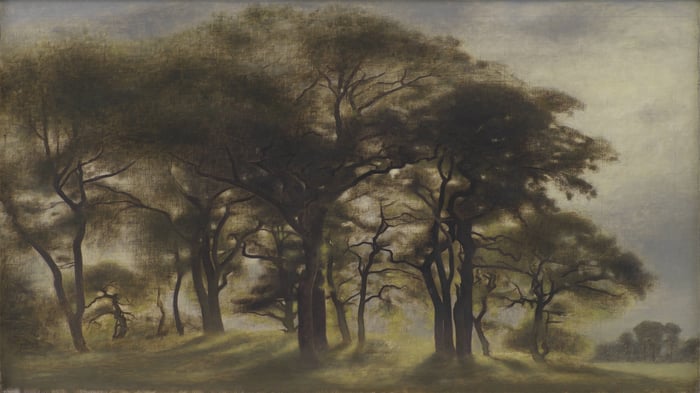 Near Fortunen, Jægersborg Deer Park, North of Copenhagen