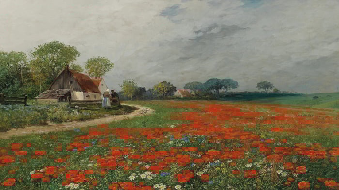 Mohnblumenfeld mit Margeriten