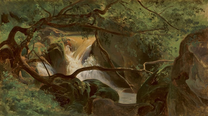 Forest Interior with a Waterfall, Papigno
