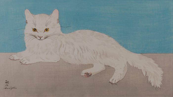 White cat