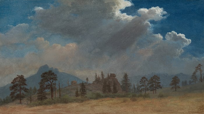 Fir Trees and Storm Clouds