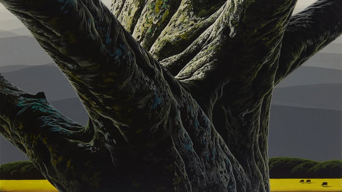 Tree trunk (section)