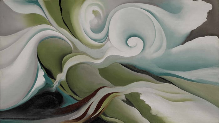 O Keeffe   Nature Forms   reframed