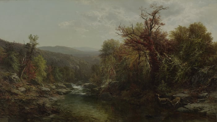 A Stream in the Adirondacks