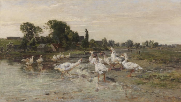 Geese at the village pond