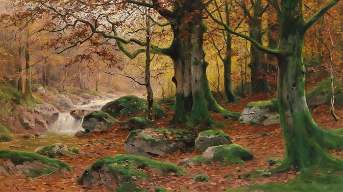 Autumnal Woodland