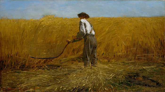 The Veteran in a New Field