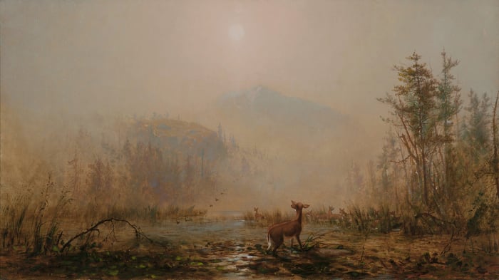 Mist in the Highlands