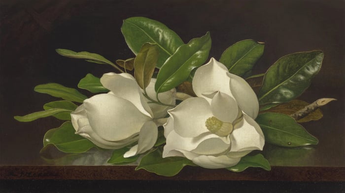 Magnolias on a Wooden Table