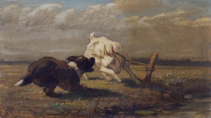 Goat and Dog Fighting