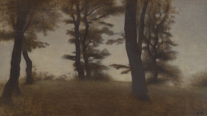 Tree Trunks, Arresødal near Frederiksværk, North Zealand