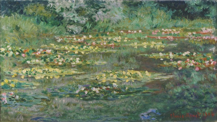 Le Bassin des Nympheas