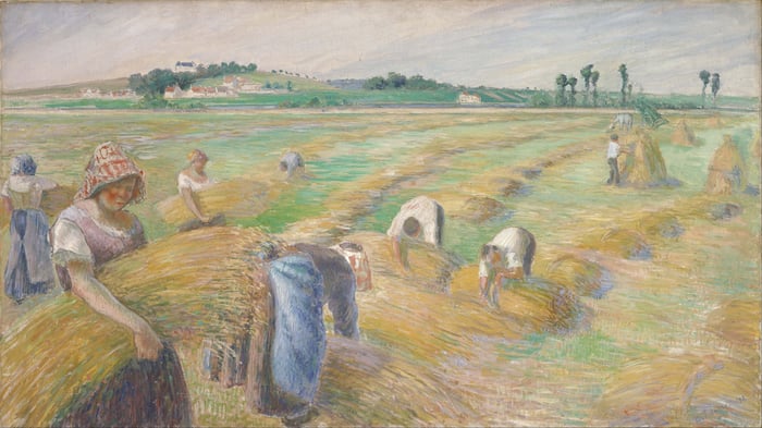 The Harvest