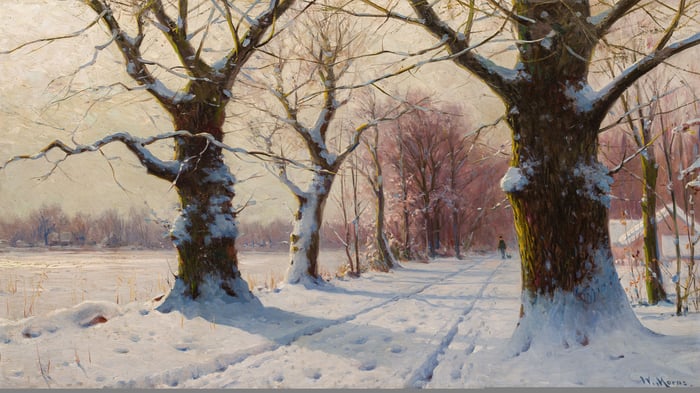 Walk in the Spree Forest, winted landscape