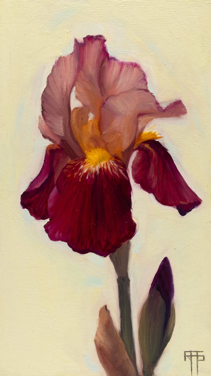 Iris I