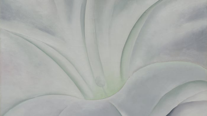 White Pansy (section)