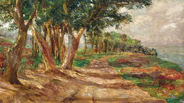 Elm Avenue in Euxinograd