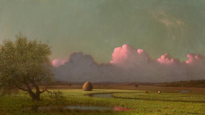 Sunlight and Shadow, The Newbury Marshes