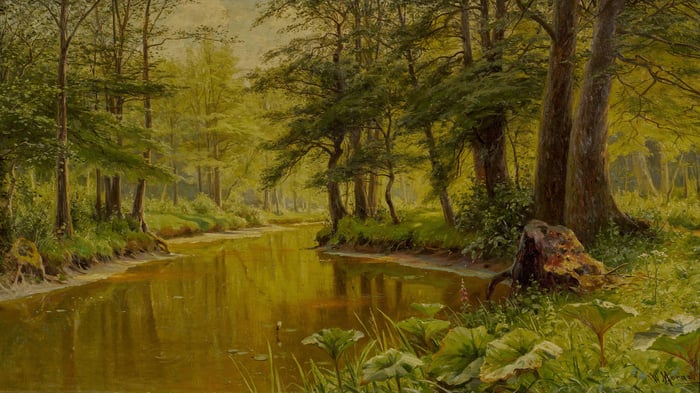 Spreewald Landscape in Summer