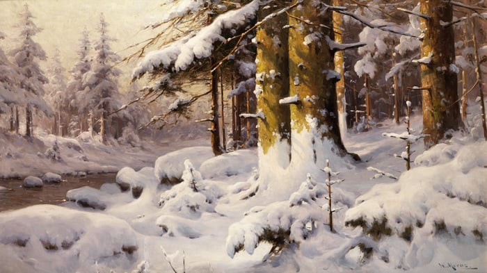 Wintry forest landscape