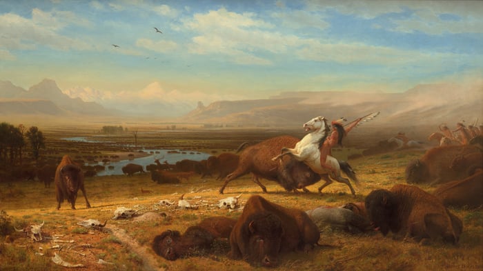 The Last of the Buffalo