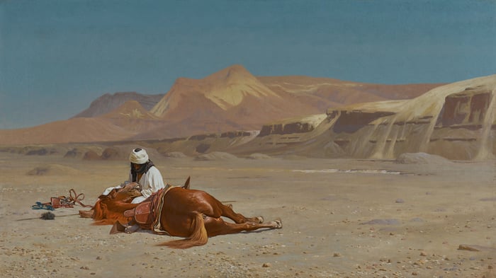 Rider and his Steed in the Desert