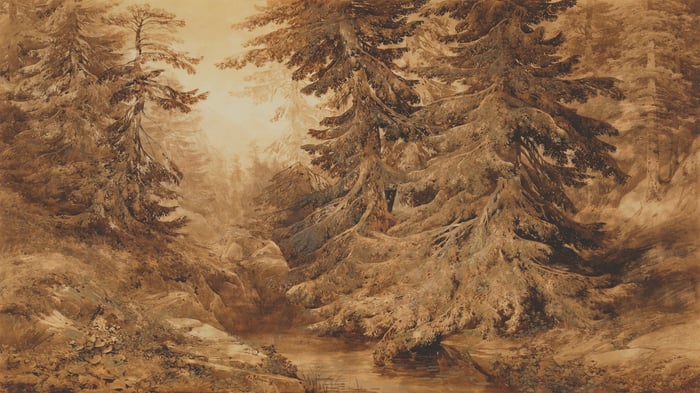 An Ancient Pine Forest with a Mountain Stream