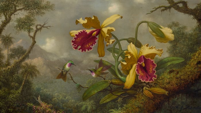 Hummingbirds and Gold and Purple Orchids