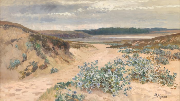 Dune landscape in brittany