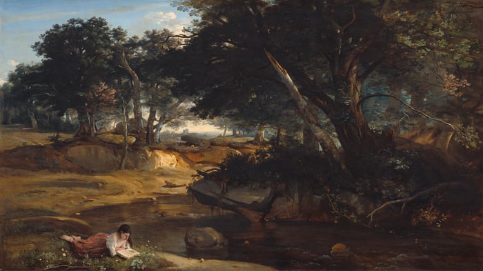 Forest of Fontainebleau