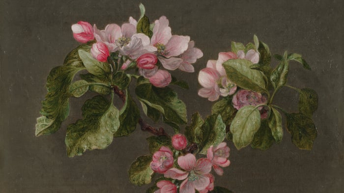 Apple Blossoms (section)