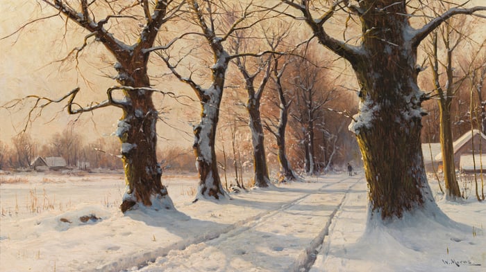 Winter landscape