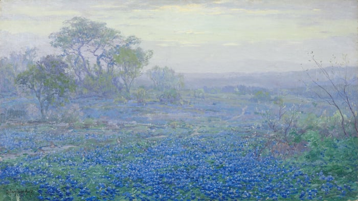 A Cloudy Day, Bluebonnets