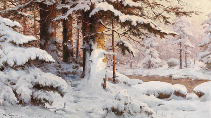 Winter in the Forest