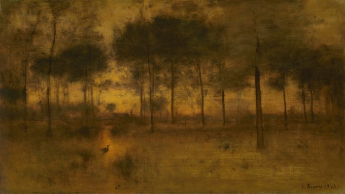 The Home of the Heron