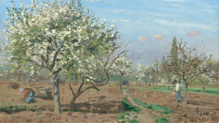The Orchard