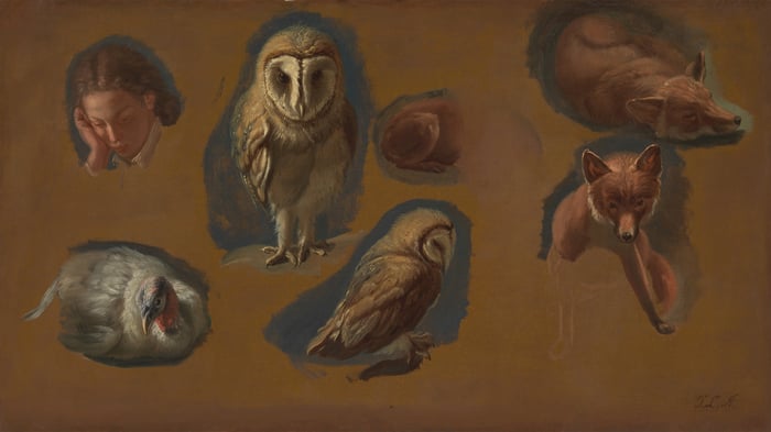 Studies of a Fox, a Barn Owl, a Peahen, and the Head of a Young Man