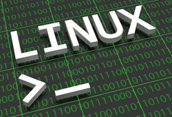 מדריך לינוקס למתחילים &#8211; צעדים ראשונים במערכת לינוקס