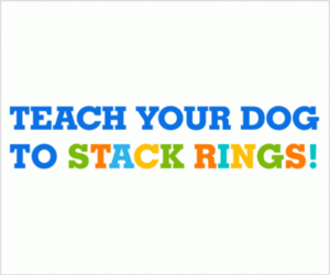 Teach Ring Stackers 300 x 250 - Animated