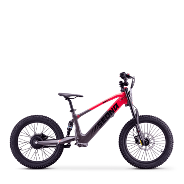 draisienne-electrique-sedna-sx-20-rouge-41919-204552